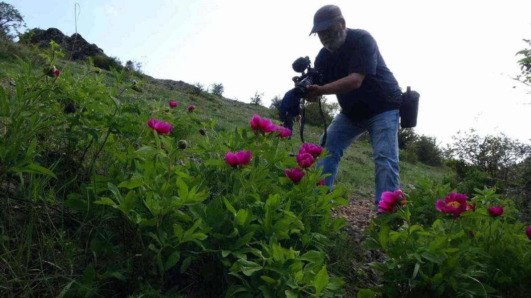 Şifa deposu fakat sadece 15 gün ömrü var! Ağrı kesici ve antioksidan etkiye sahip 8